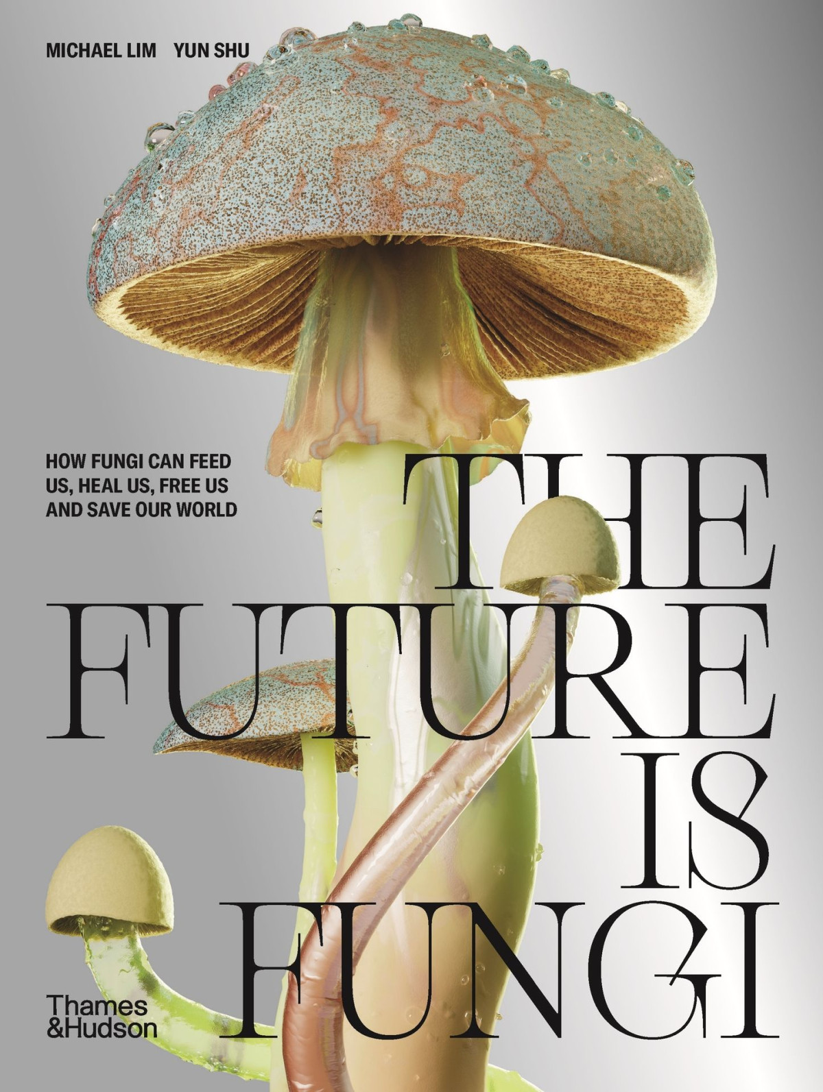 The Future Is Fungi Michael Lim Yun Shu