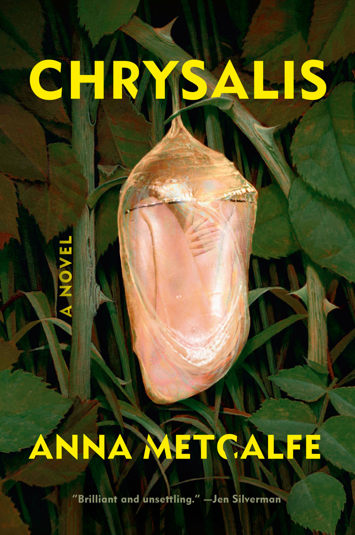 Chrysalis A Novel Anna Metcalfe