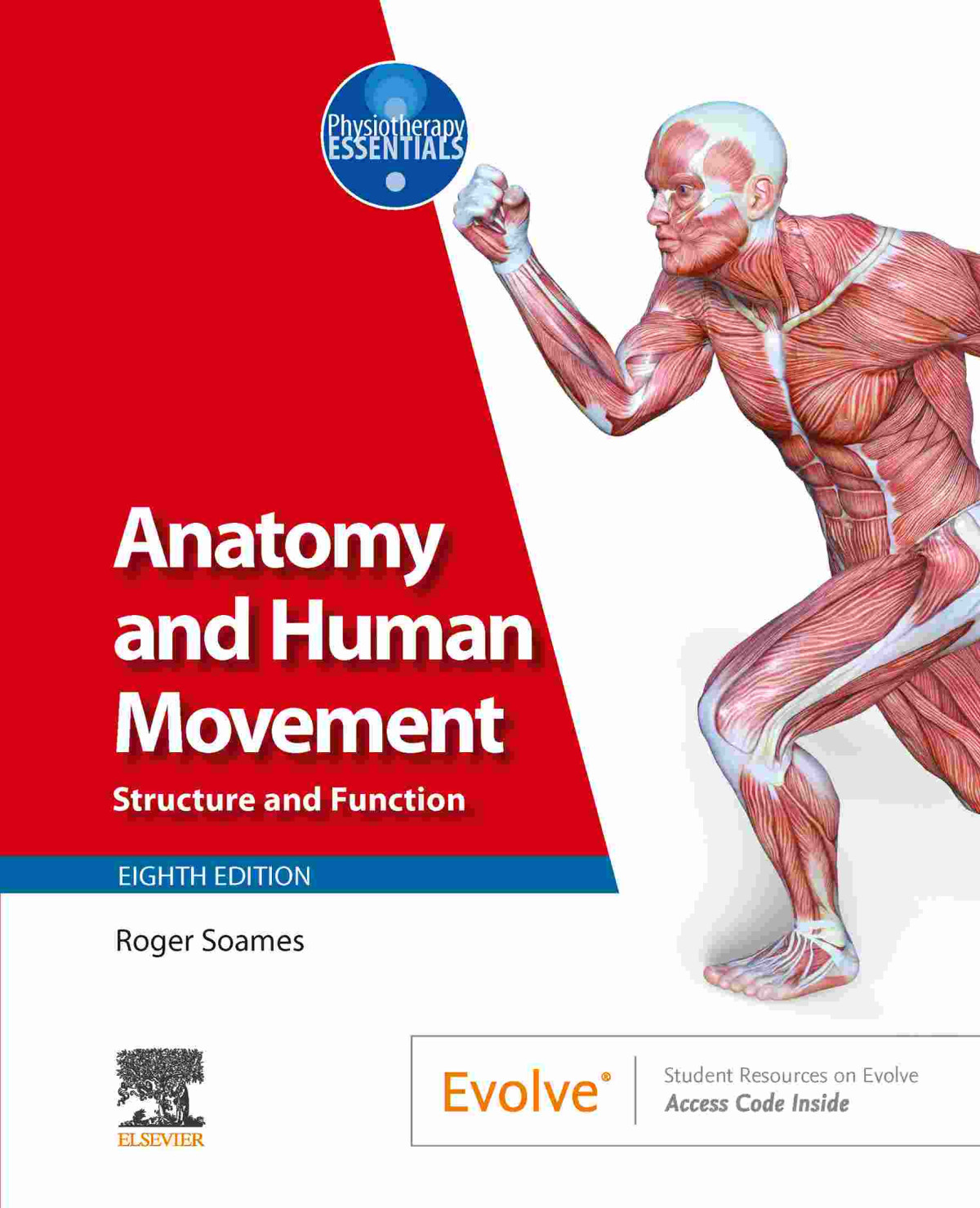 Anatomy And Human Movement Ebook 8th Edition Roger W Soames