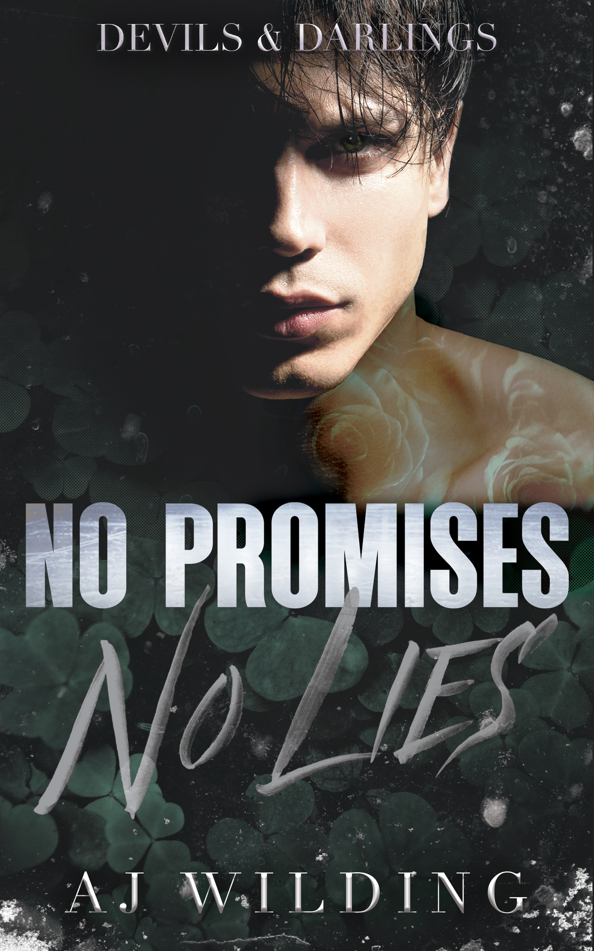 No Promises No Lies A Mafia Hockey Romance Devils Darlings Book 1 Aj Wilding
