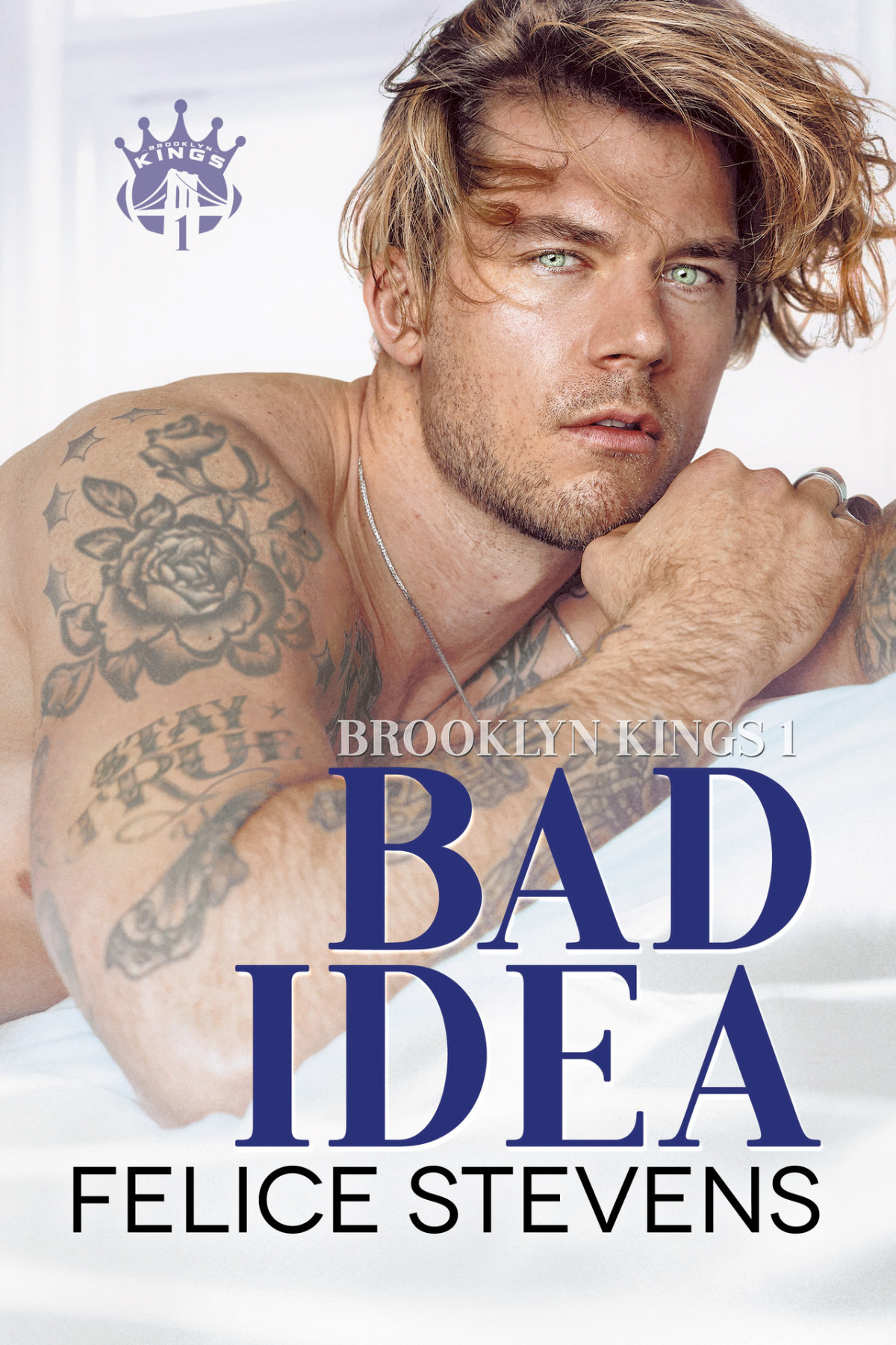 Bad Idea A Boss Employee Mm Romance Felice Stevens