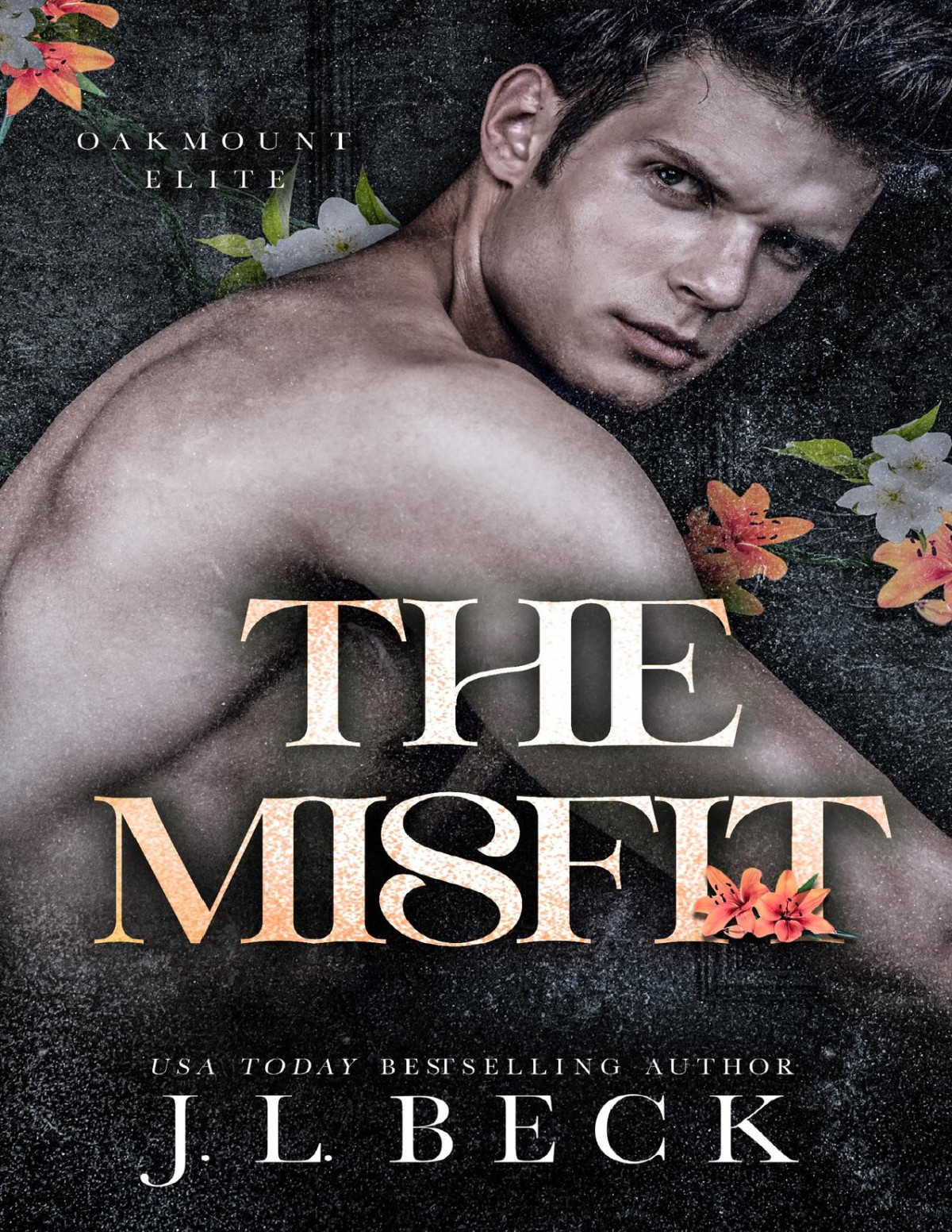 The Misfit A Dark Fake Relationship Romance Oakmount Elite Book 5 Jl Beck