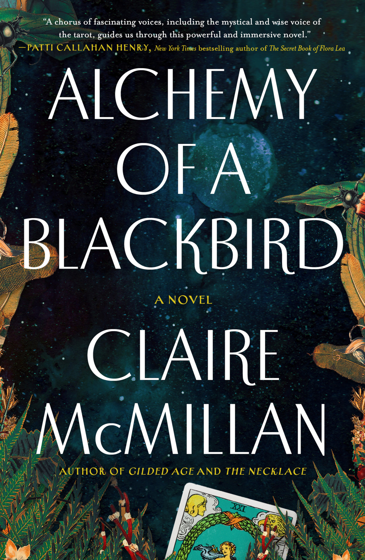 Alchemy Of A Blackbird A Novel Claire Mcmillan