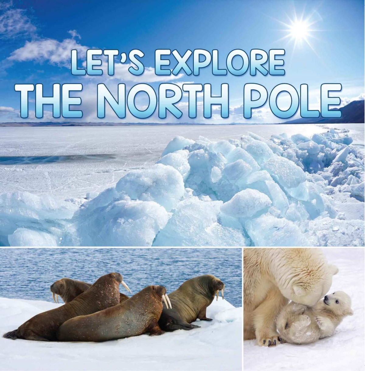 Lets Explore The North Pole Childrens Explore The World Books Baby Professor