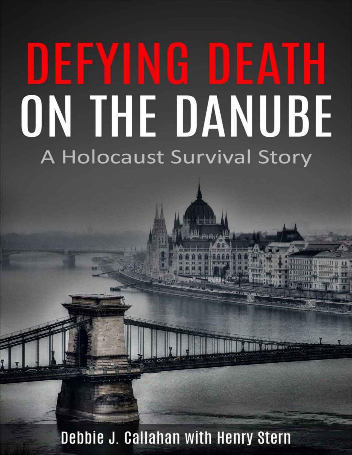 Defying Death On The Danube A Holocaust Survival Story Debbie J Callahan Henry Stern