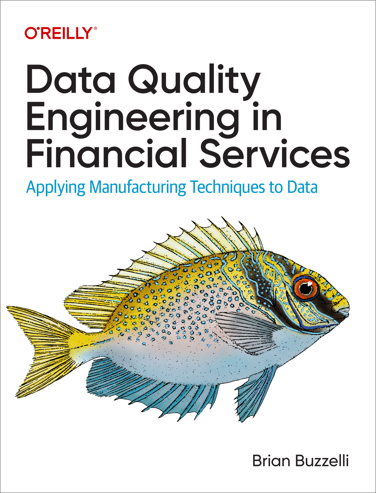 Data Quality Engineering In Financial Services Brian Buzzelli