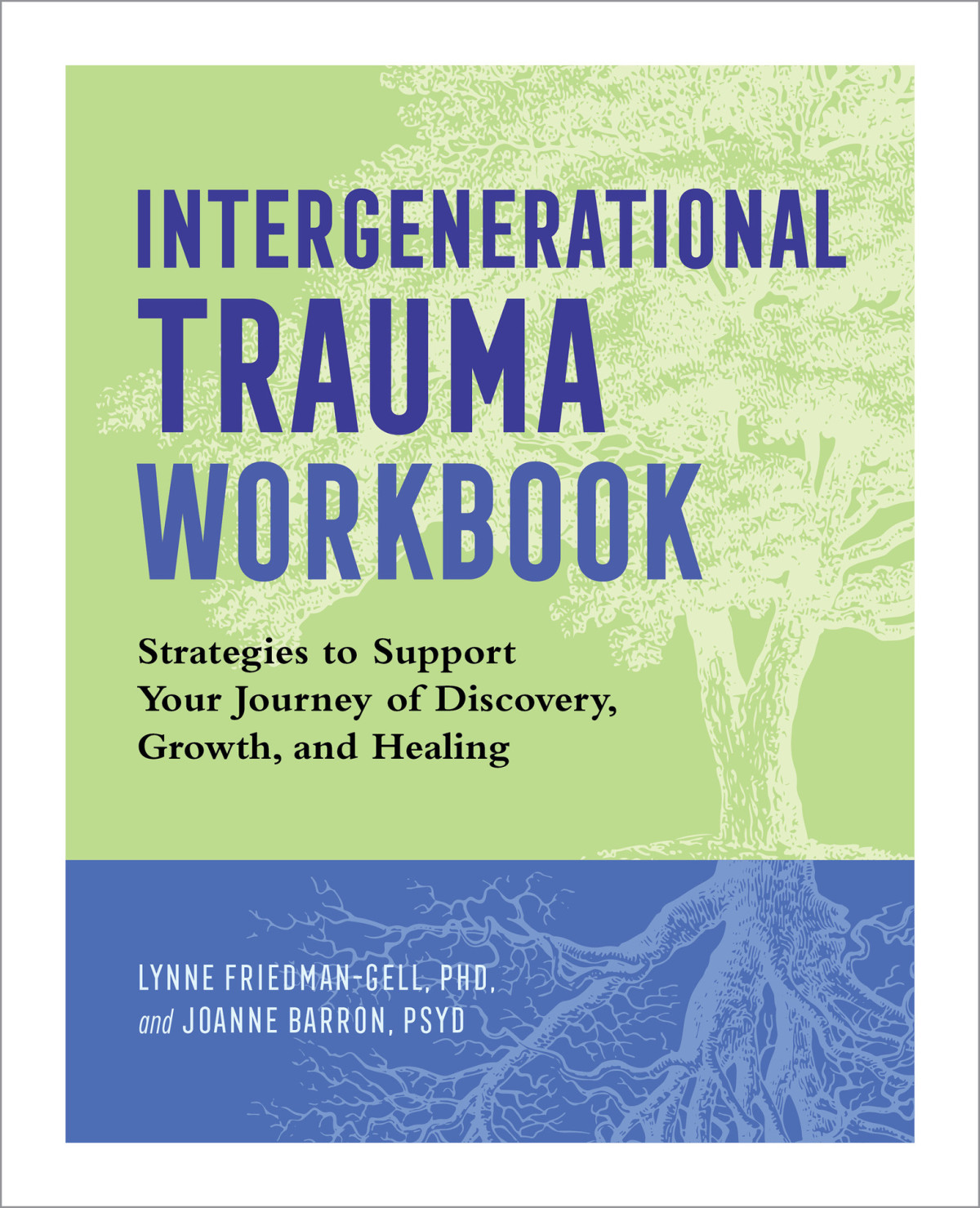 Intergenerational Trauma Workbook Strategies To Support Your Journey Of Discovery Growth And Healing Joanne Barron Psyd Lynne Friedmangell Phd