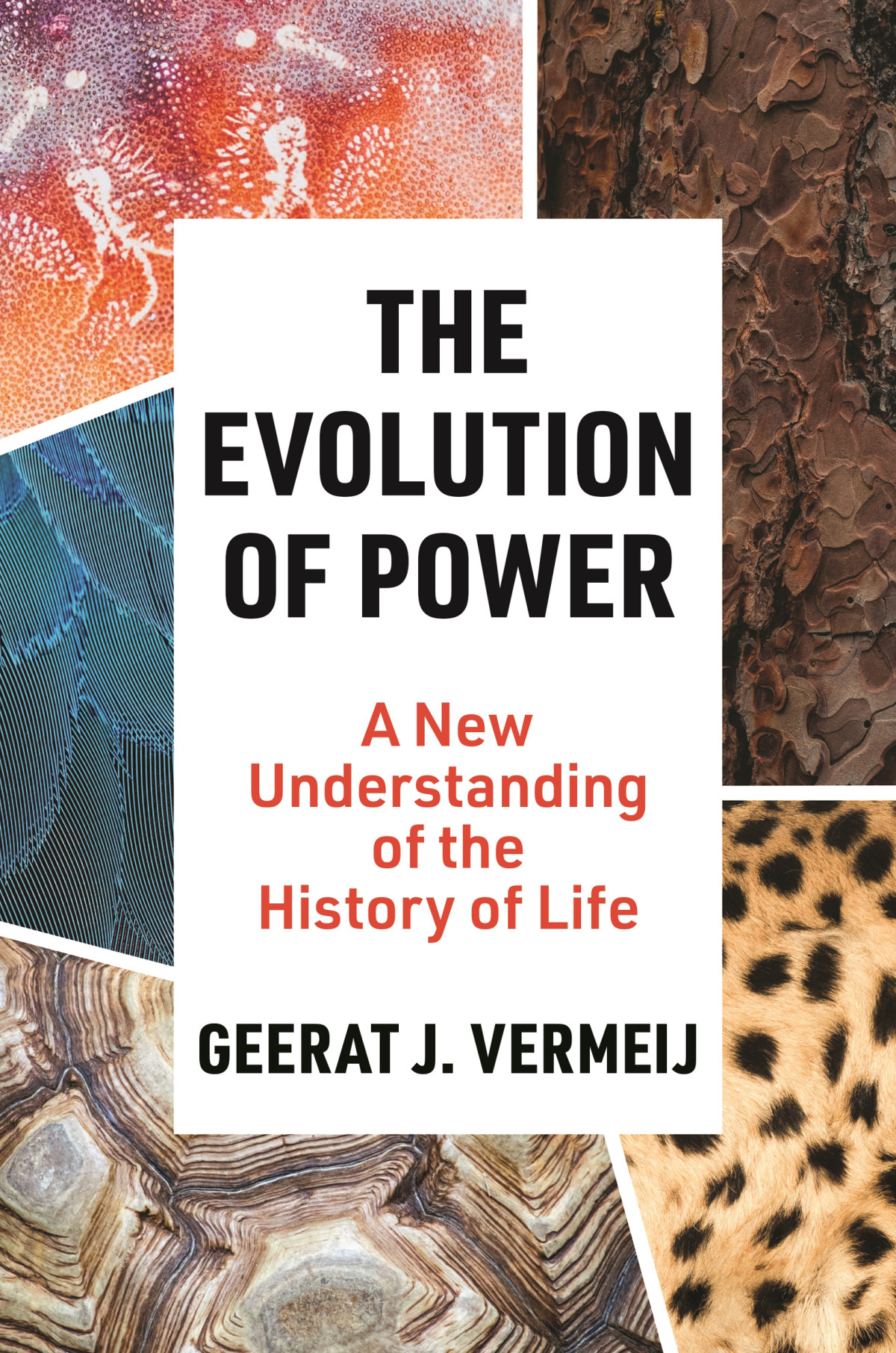 The Evolution Of Power A New Understanding Of The History Of Life Geerat J Vermeij