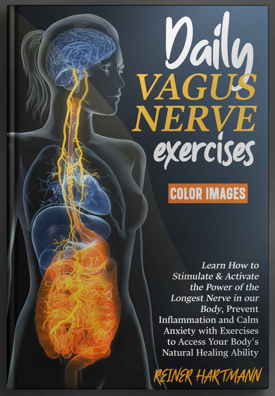 Daily Vagus Nerve Exercises Learn How To Stimulate Activate The Power Of The Longest Nerve In Our Body Prevent Inflammation And Calm Anxiety With Exercises To Access Your Bodys Natural Healing Hartmann