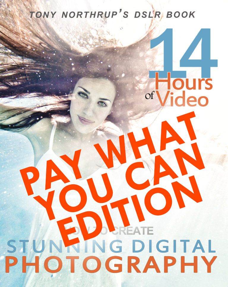 Stunning Digital Photography Pay What You Can Edition Tony Northrup