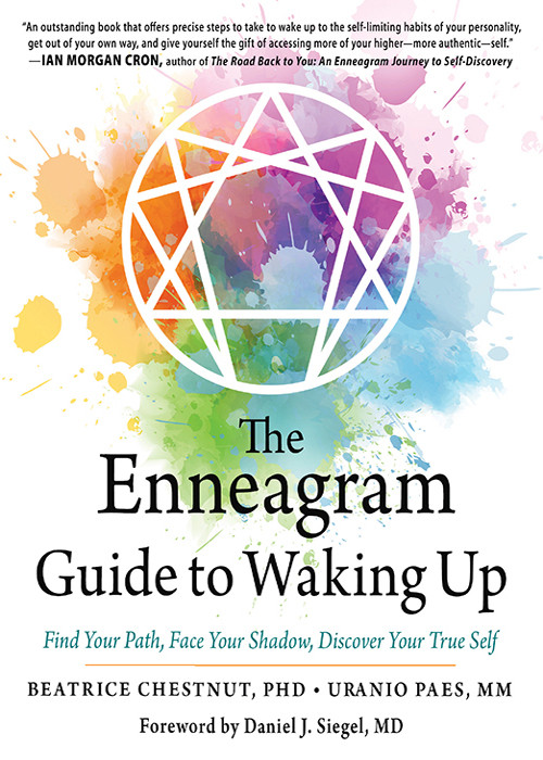The Enneagram Guide To Waking Up Beatrice Chestnut