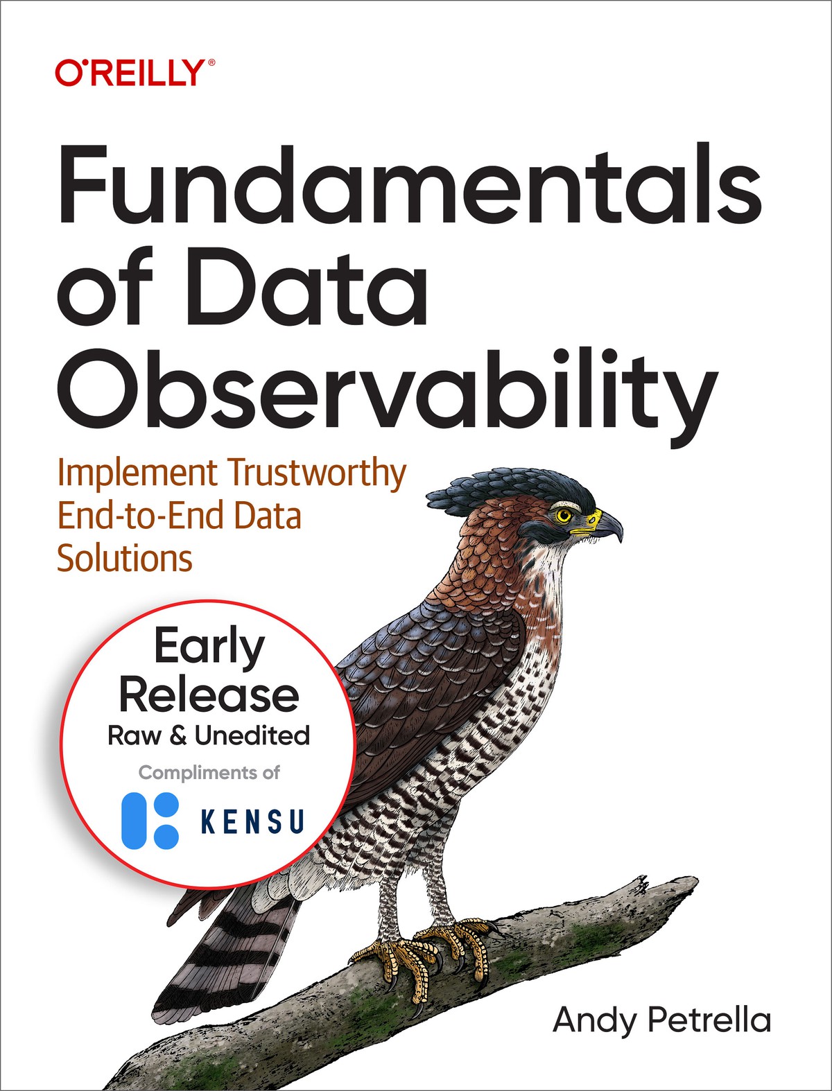 Fundamentals Of Data Observability Andy Petrella