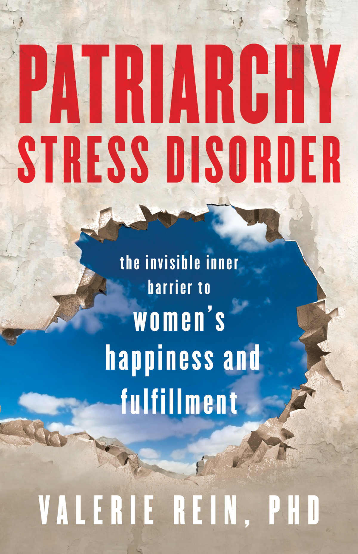 Patriarchy Stress Disorder Valerie Rein