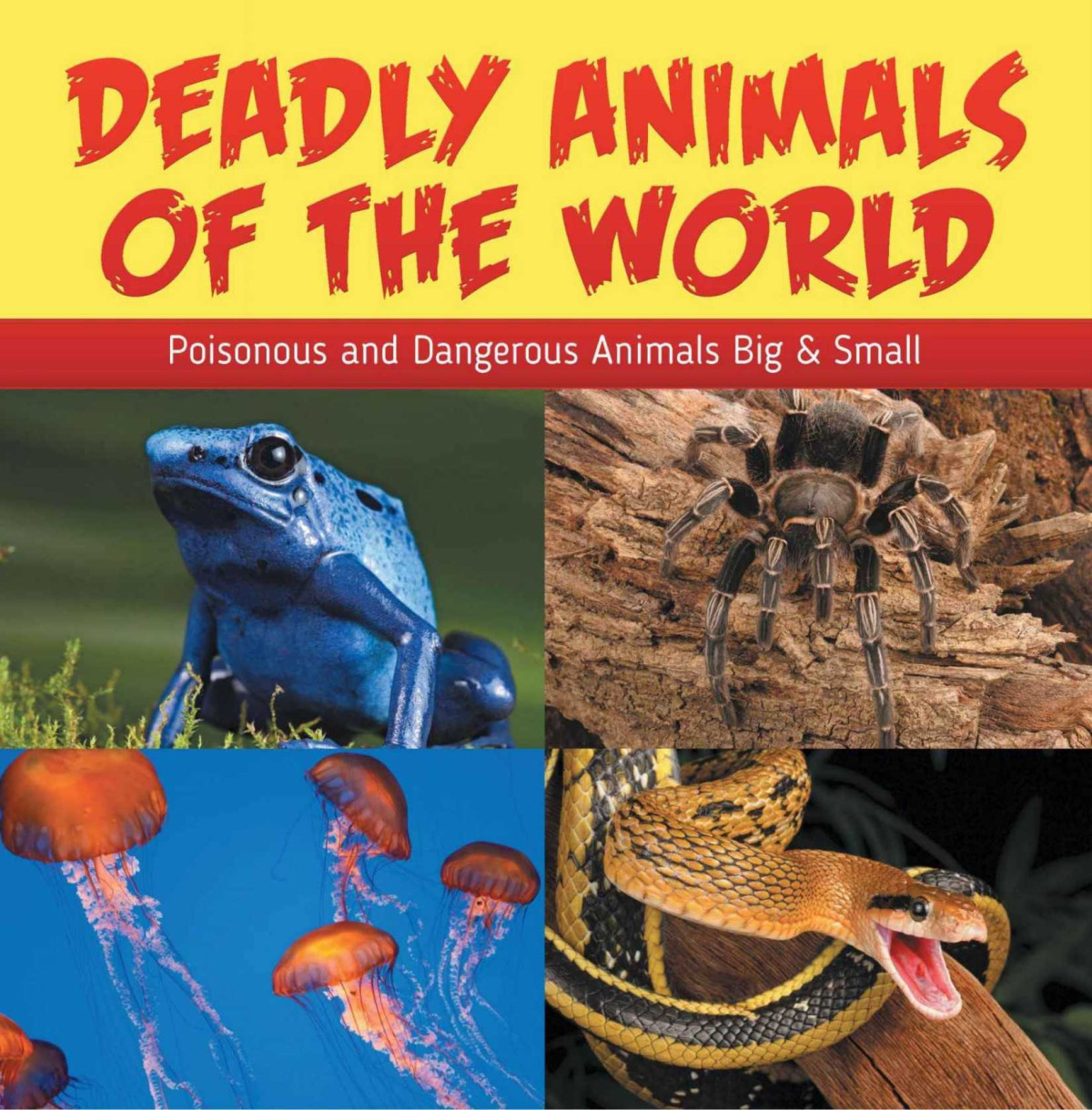 Deadly Animals Of The World Poisonous And Dangerous Animals Big Small Childrens Animal Books Baby Professor