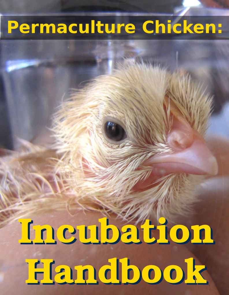 Permaculture Chicken Incubation Handbook Anna Hess