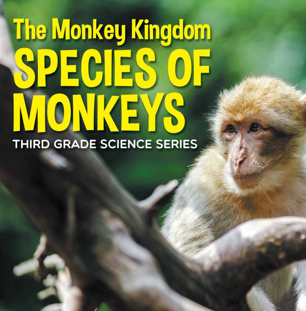 The Monkey Kingdom Species Of Monkeys 3rd Grade Science Series Animal Encyclopedia For Children Baby Professor