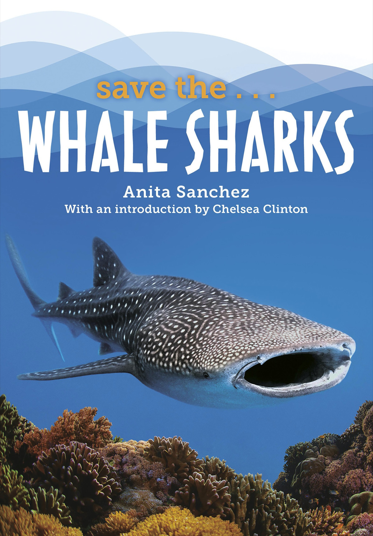 Save Thewhale Sharks Anita Sanchez Chelsea Clinton