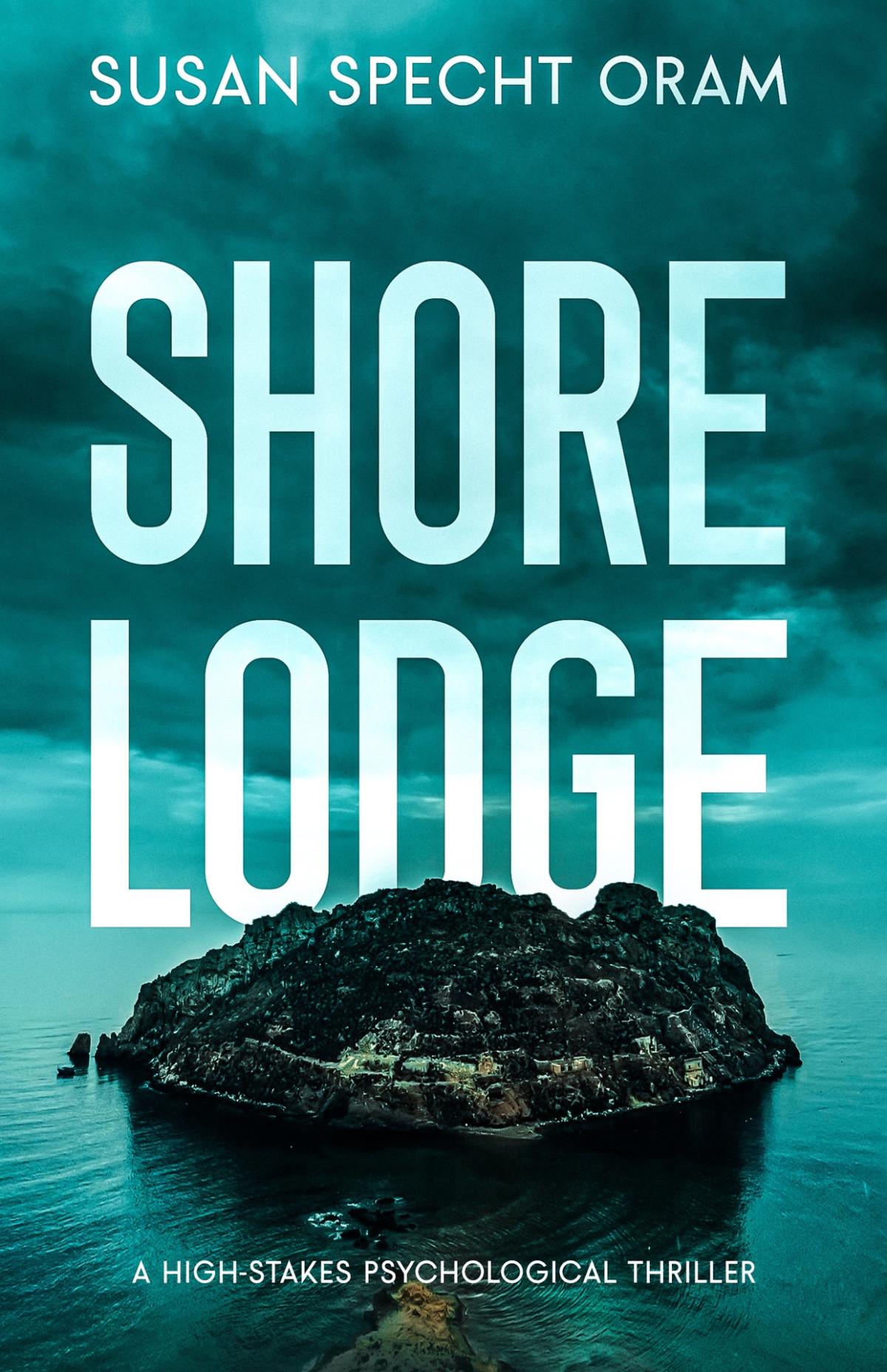 Shore Lodge A Highstakes Psychological Thriller The Millersville Thriller Series Oram