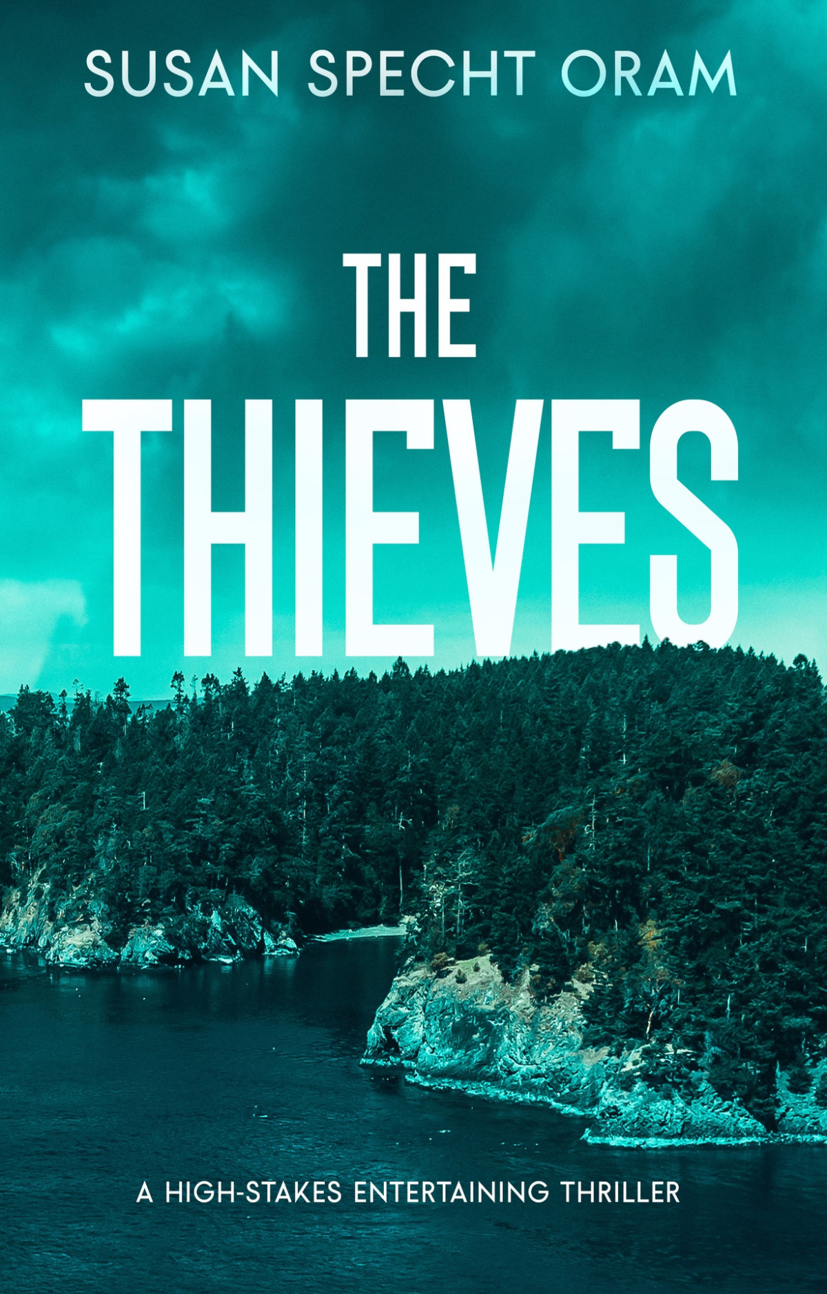 The Thieves A Highstakes Entertaining Thriller Specht Oram