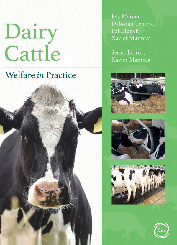 Dairy Cattle Welfare In Practice Eva Mainau Dborah Temple Pol Llonch Xavier Manteca