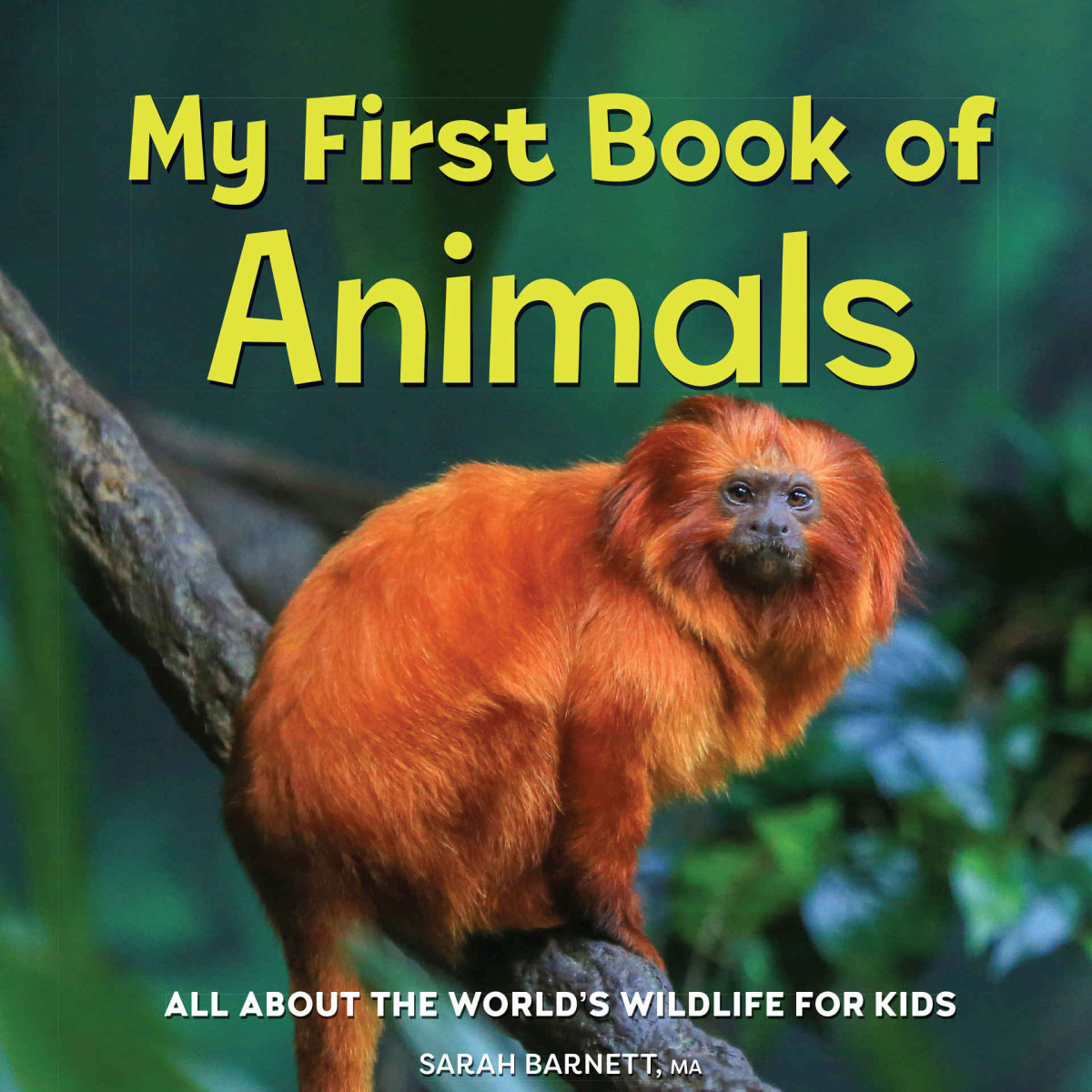 My First Book Of Animals Barnett Ma Sarah