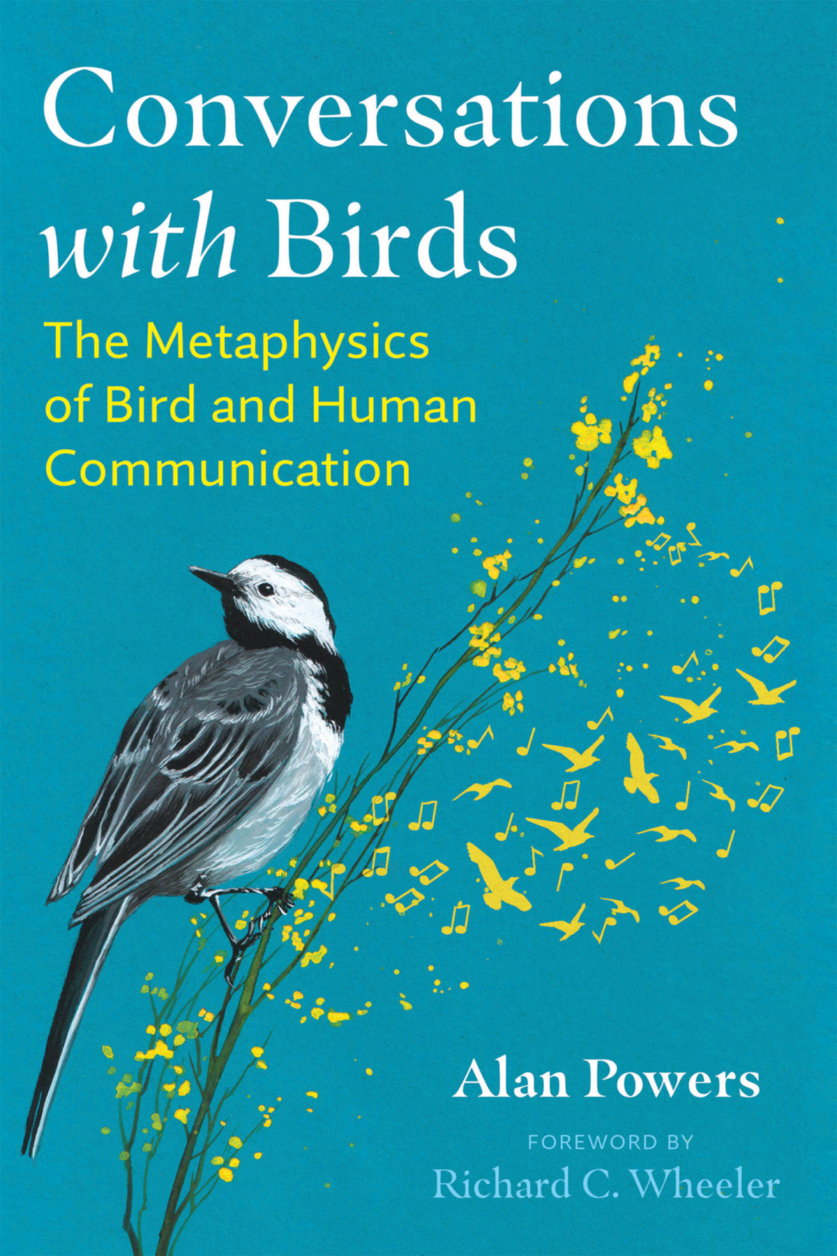 Conversations With Birds Alan Powers