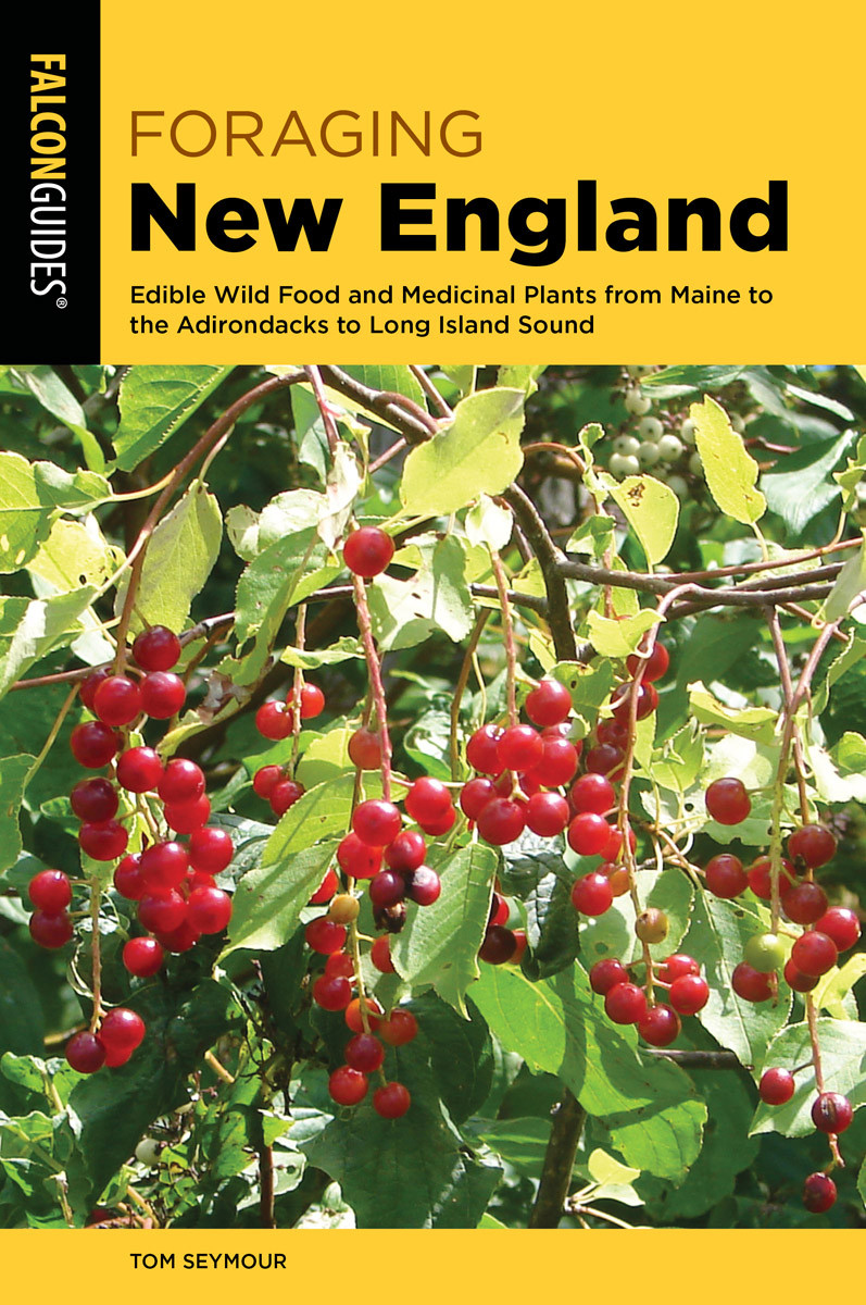 Foraging New England Tom Seymour