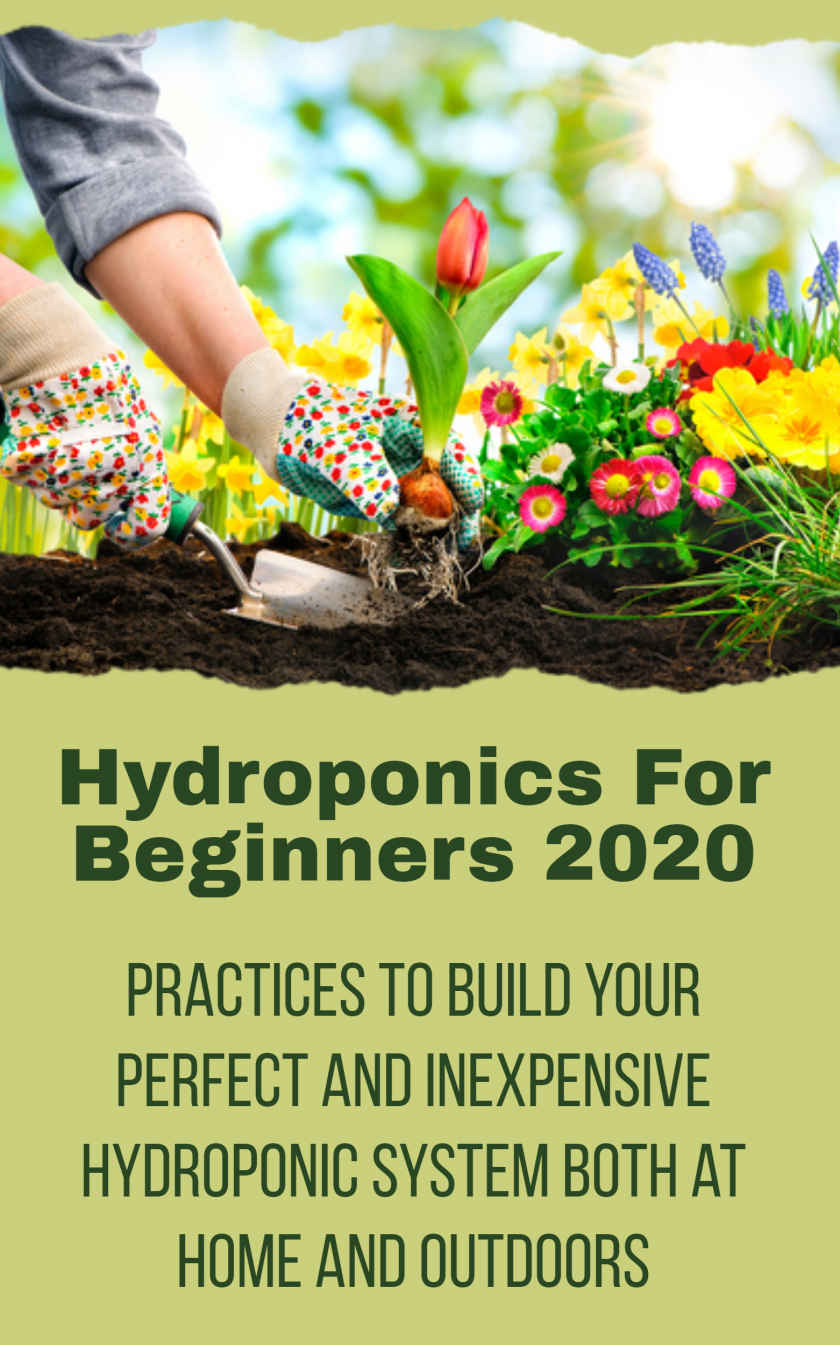 Hydroponics For Beginners 2020 Practices To Build Your Perfect And Inexpensive Hydroponic System Both At Home And Outdoors Davis Russo