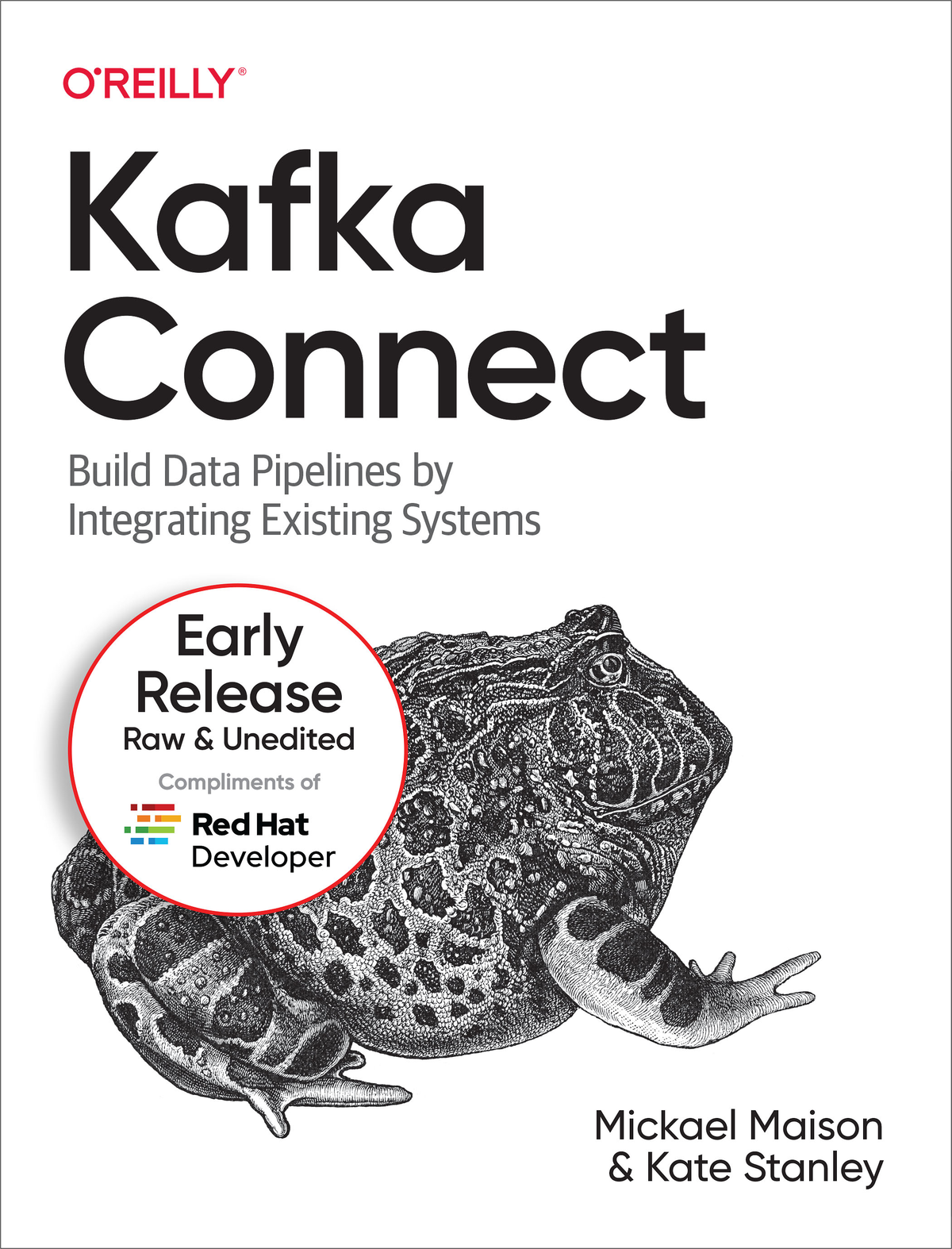 Kafka Connect For True Epub Mickael Maison And Kate Stanley