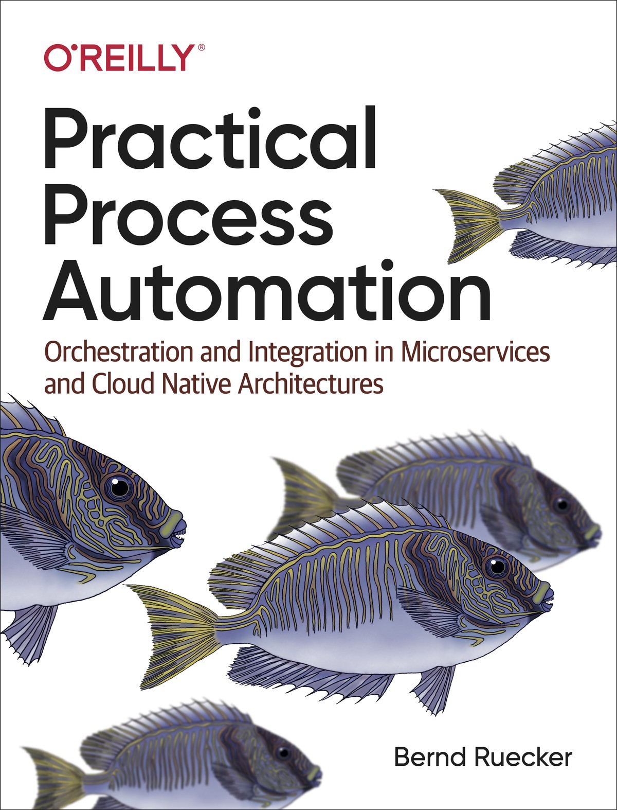 Practical Process Automation Bernd Ruecker