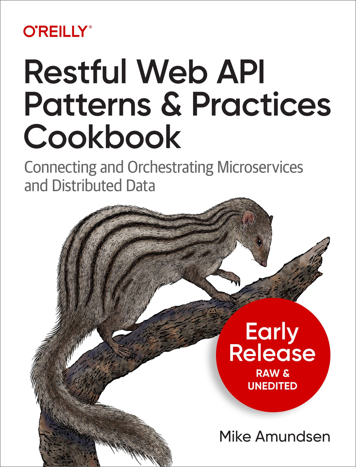 Restful Web Api Patterns And Practices Cookbook Author Names Here
