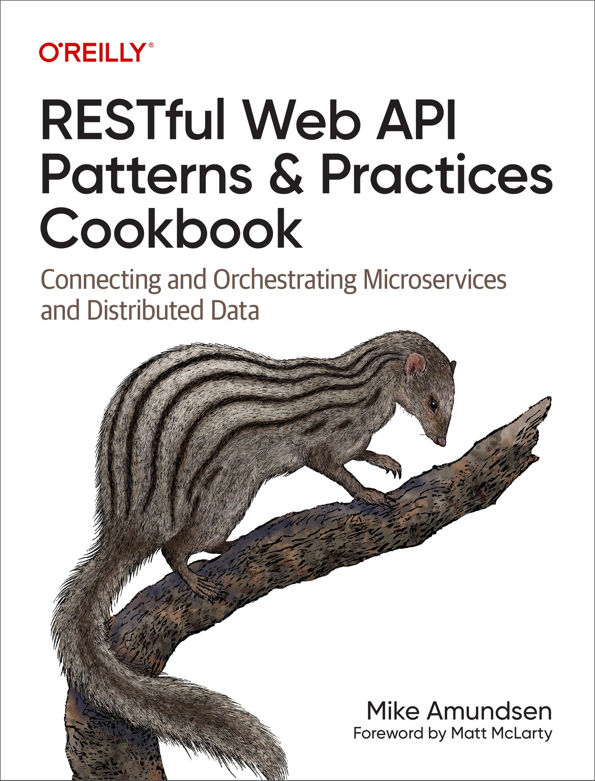 Restful Web Api Patterns And Practices Cookbook Mike Amundsen