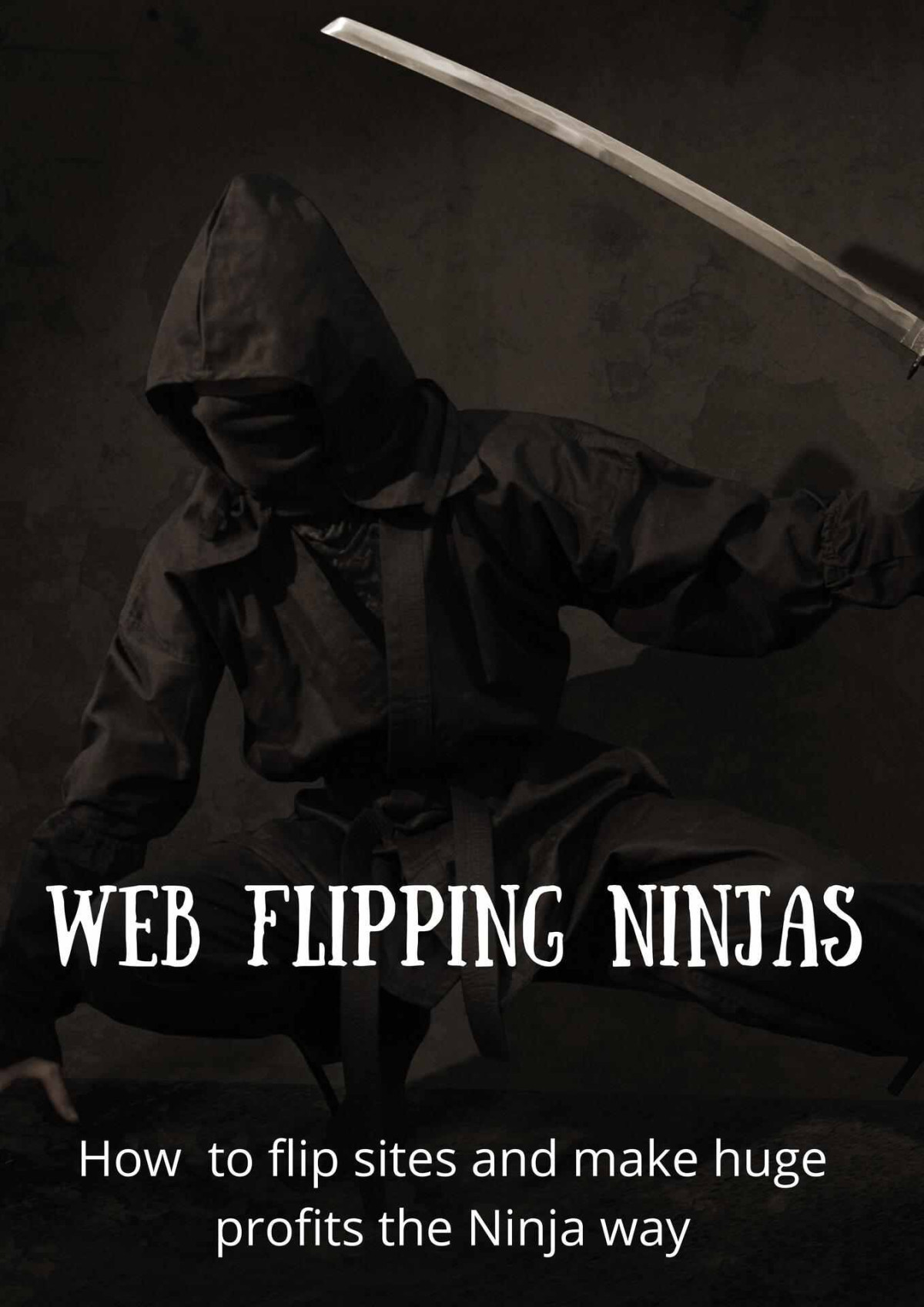 Web Ninjas How To Flip Sites And Make Huge Profits The Ninja Way Jama Press