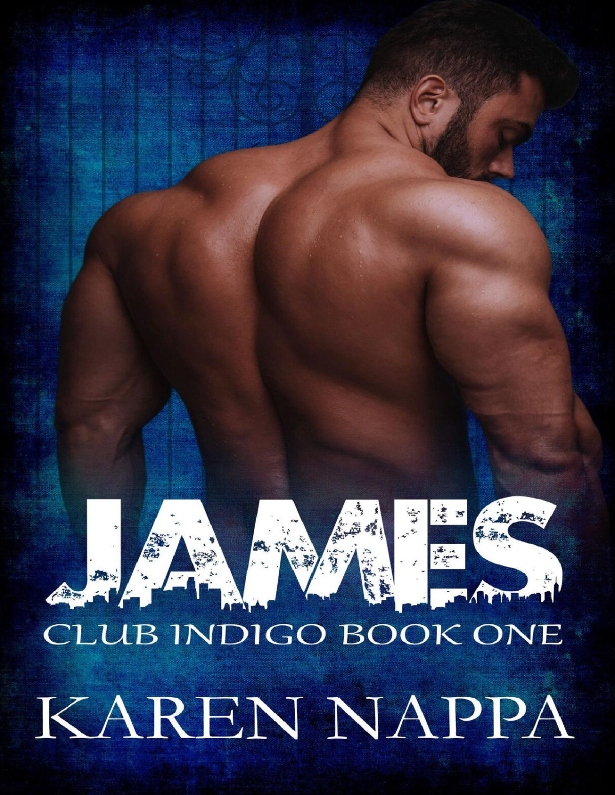 James Doms Of Club Indigo Book 1 Karen Nappa