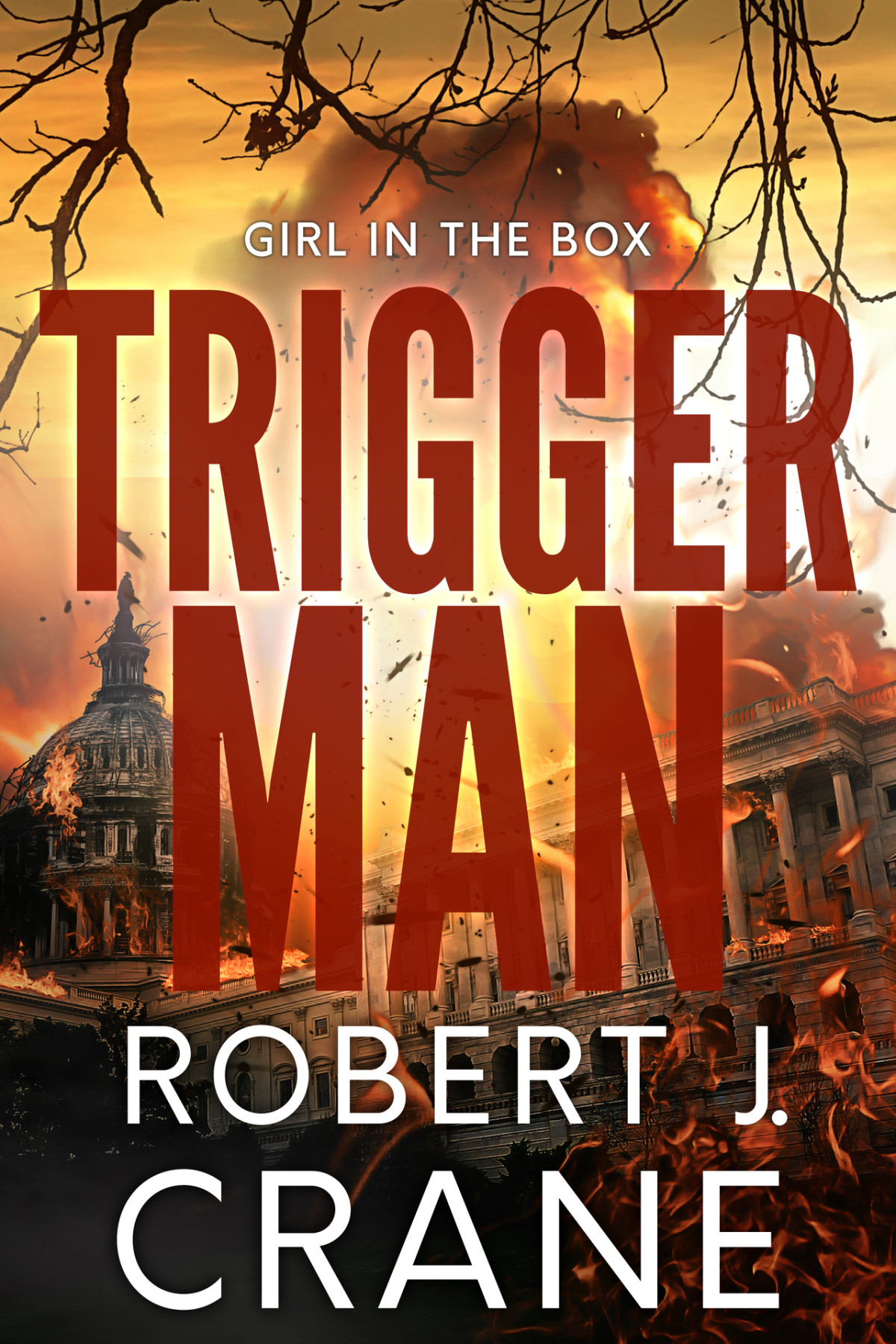 Trigger Man The Girl In The Box Book 59 Robert J Crane