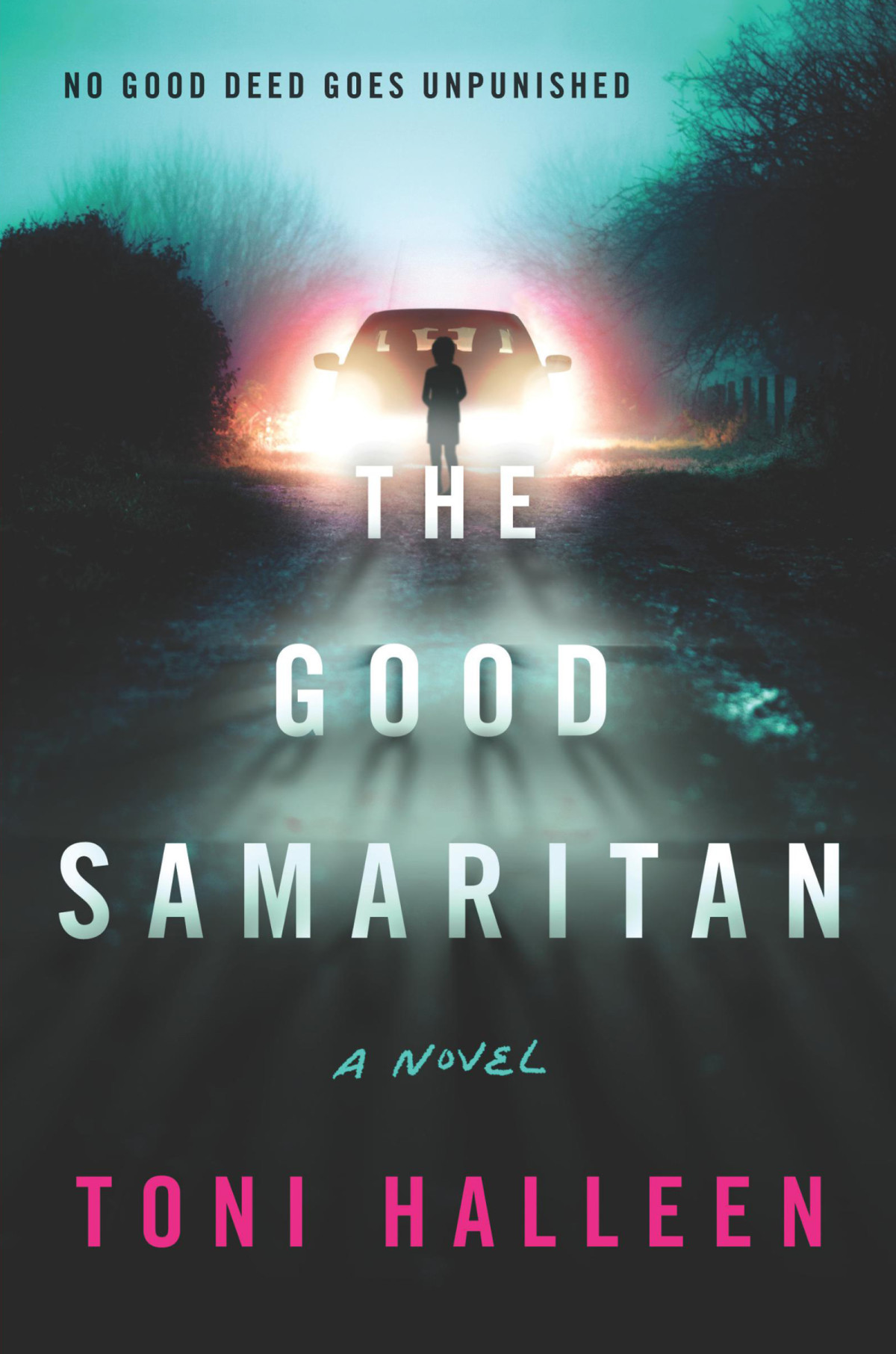 The Good Samaritan Toni Halleen