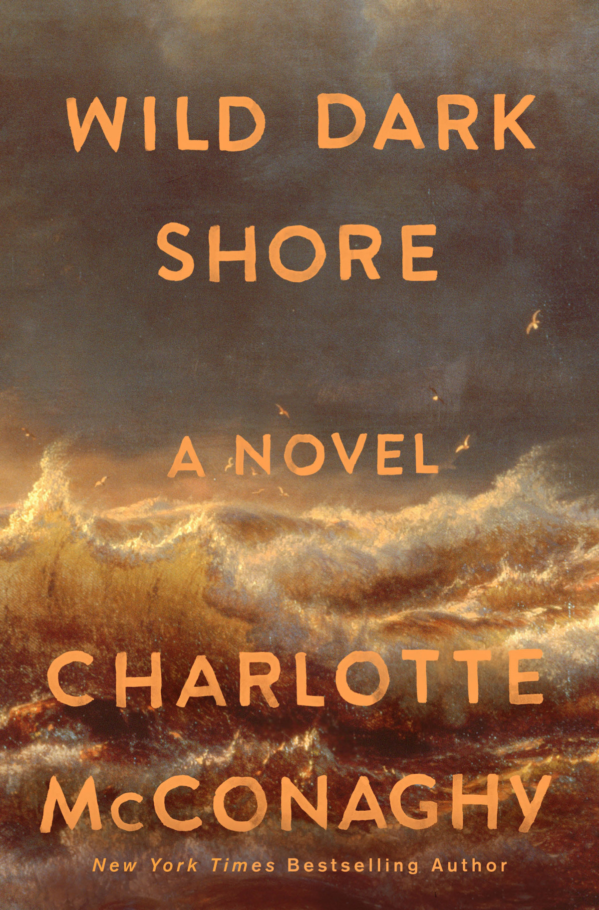 Wild Dark Shore 1st Edition Charlotte Mcconaghy