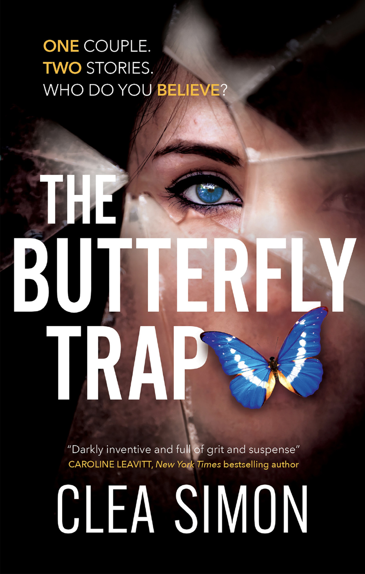 The Butterfly Trap Clea Simon
