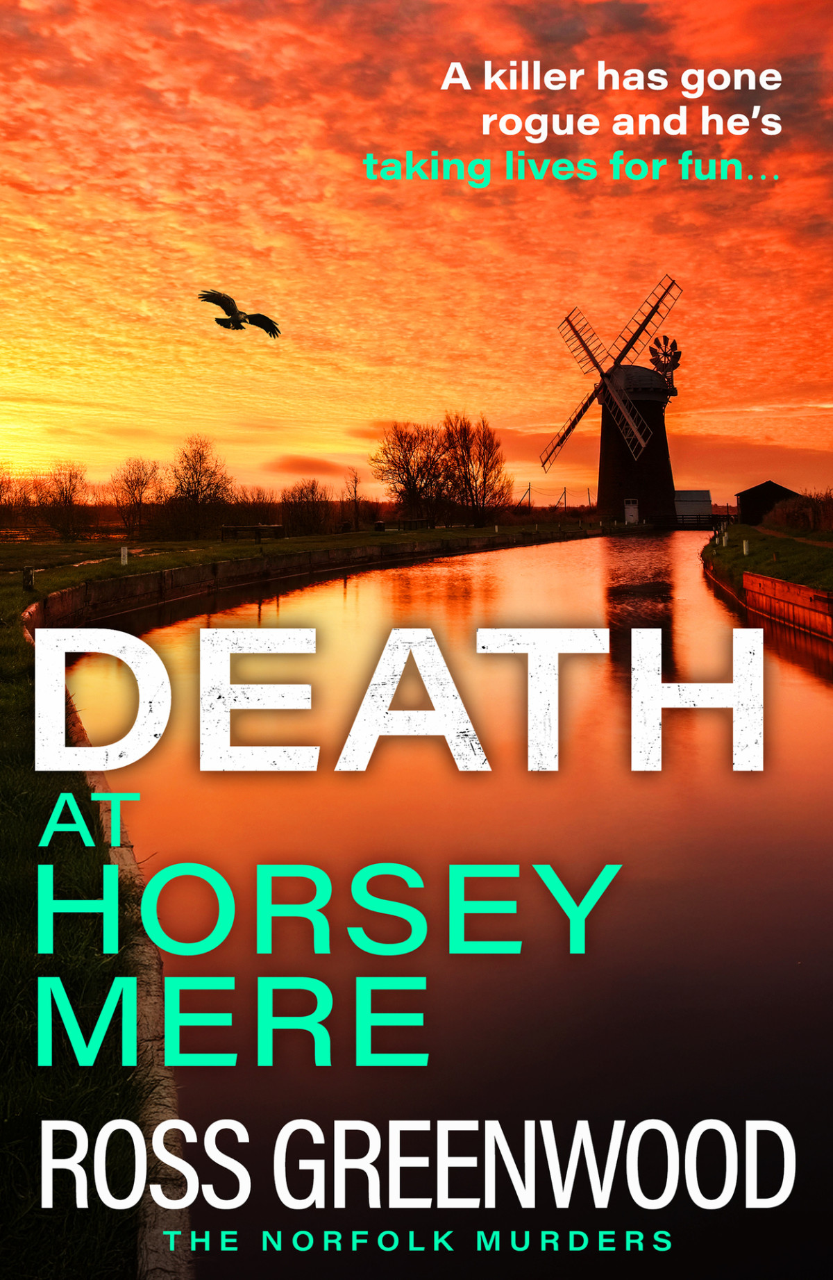 Death At Horsey Mere 1st Edition Ross Greenwood
