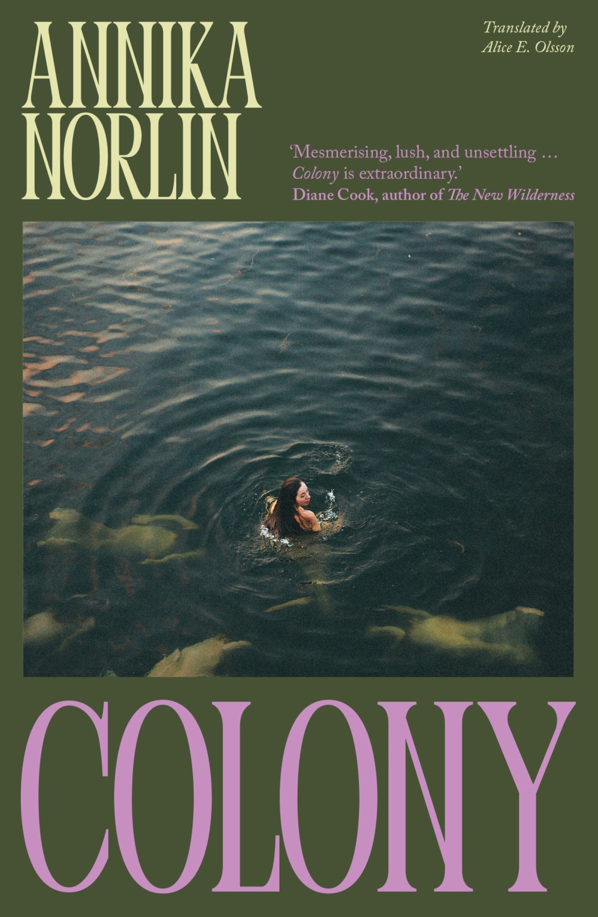 Colony Annika Norlin Translated By Alice E Olsson