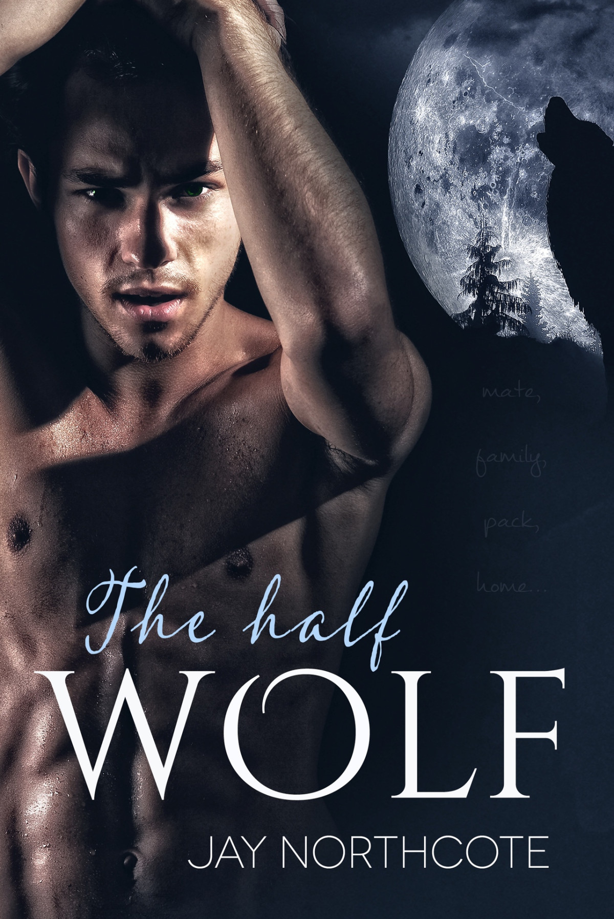 The Half Wolf Northcote Jay