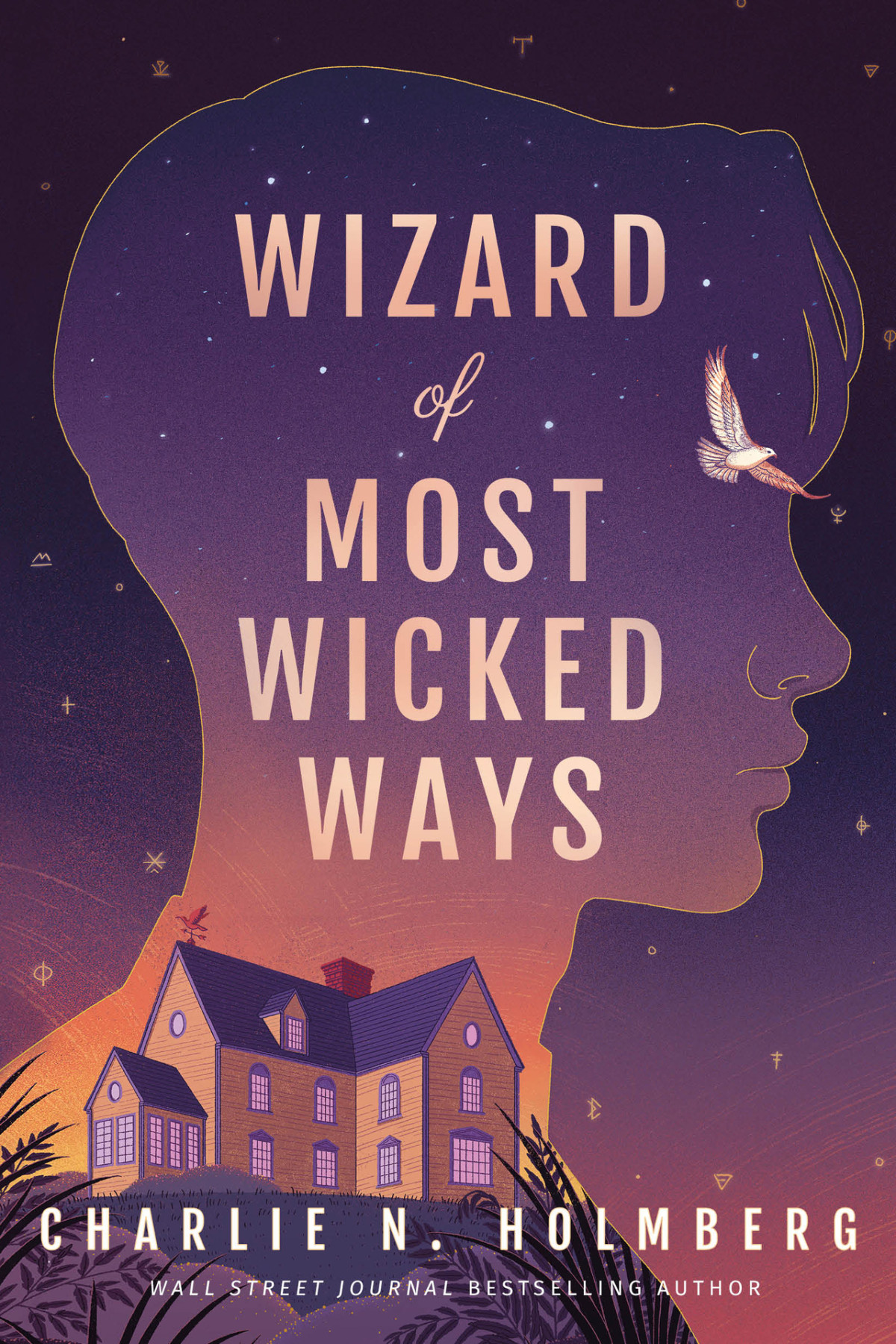 Wizard Of Most Wicked Ways Whimbrel House Charlie N Holmberg