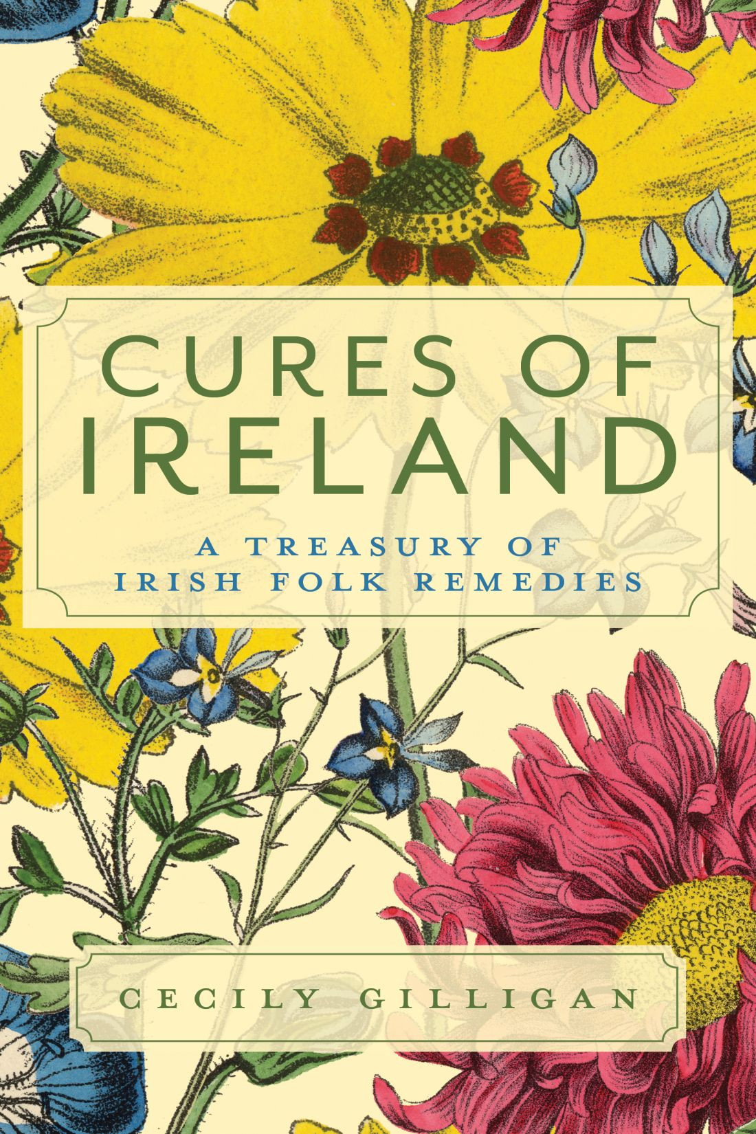 Cures Of Ireland A Treasury Of Irish Folk Remedies Cecily Gilligan