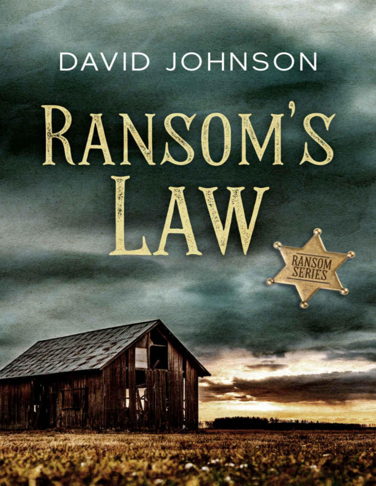 Ransoms Law David Johnson