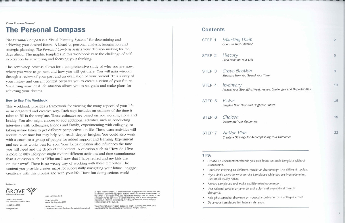 The Personal Compass A Visual Workbook For Exploring Your Future 1st The Grove Consultants