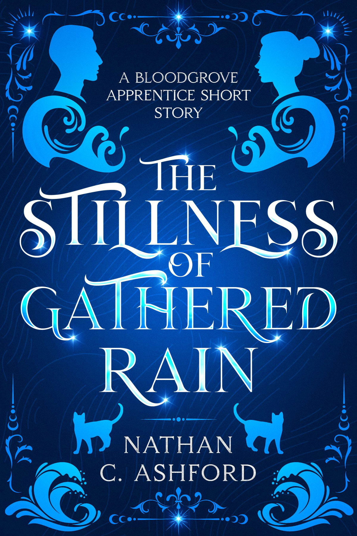 The Stillness Of Gathered Rain Nathan C Ashford