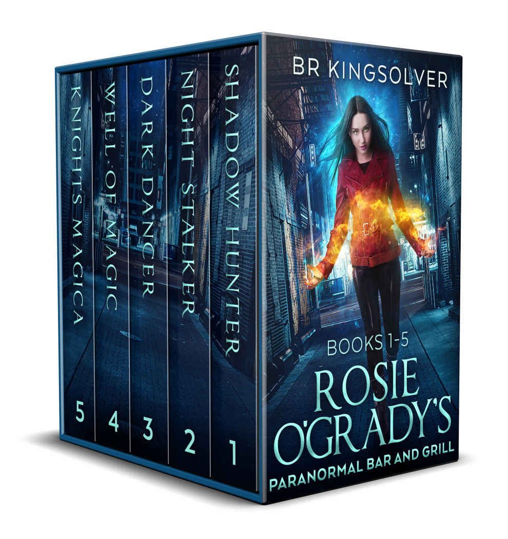 Roie Ogradys Paranormal Bar And Grill Books 15 Br Kingsolver