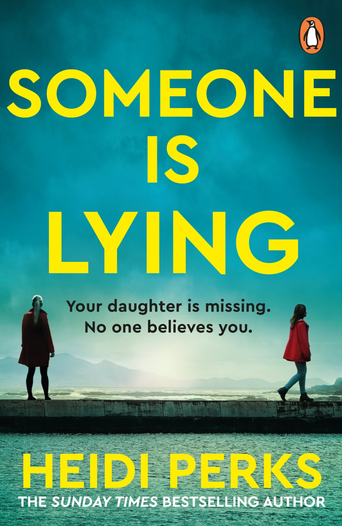 Someone Is Lying Heidi Perks
