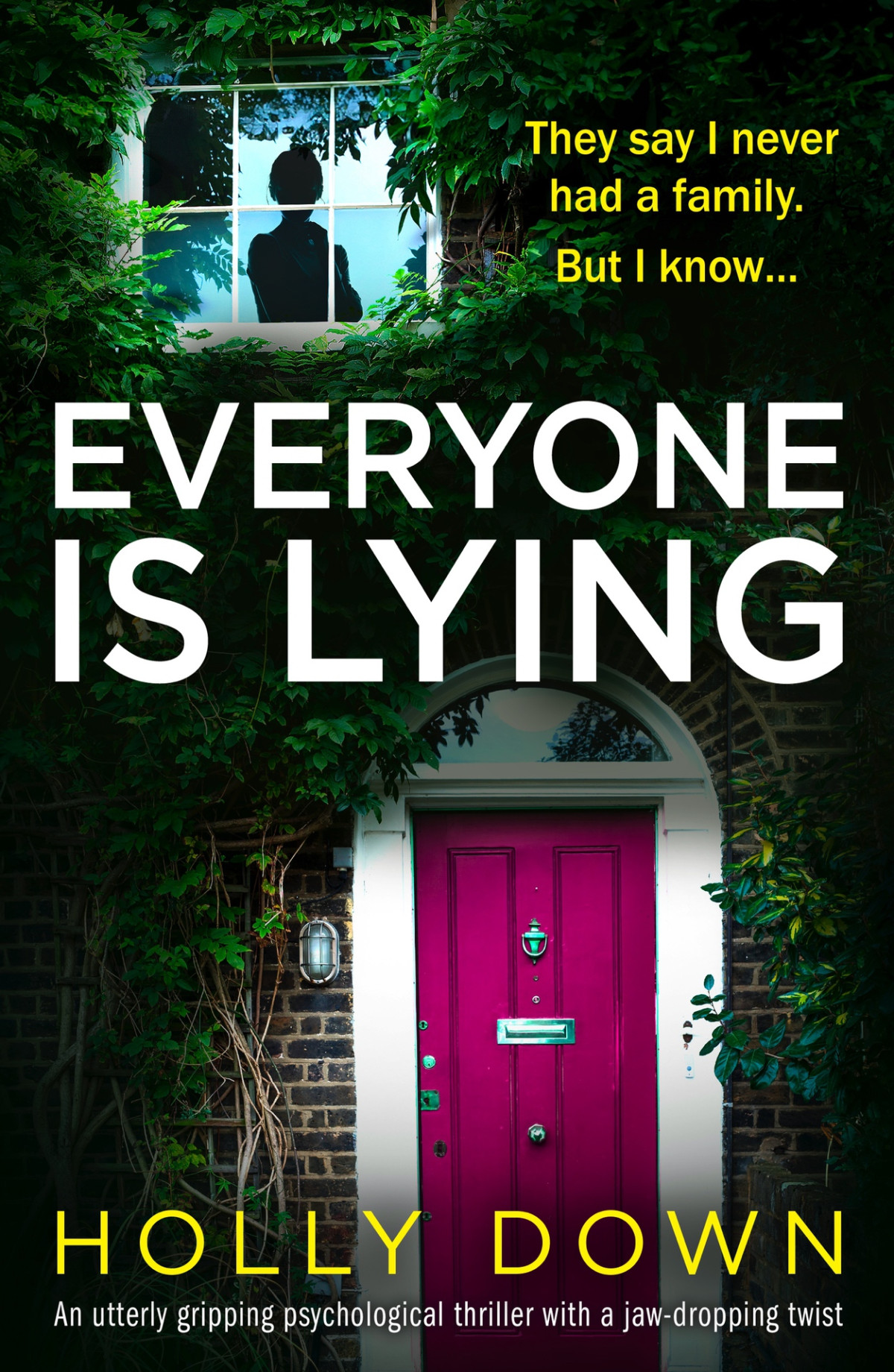 Everyone Is Lying Holly Down