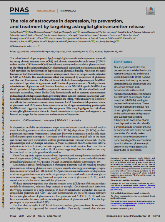 The Role Of Astrocytes In Depression Its Prevention And Treatment By Targeting Astroglial Gliotransmitter Release Yorley Duarte